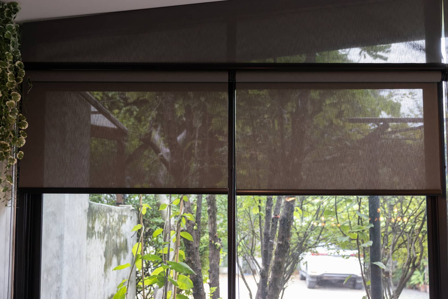 Premium Roller Shades